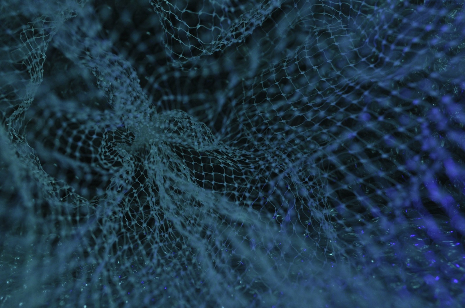 Blockchain and Supply Chain: Transforming Transparency and Traceability